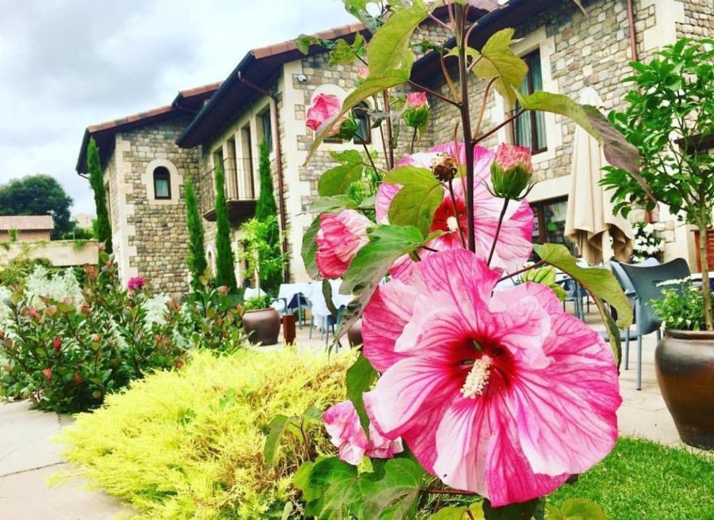La Fuentona De Santillana Santillana del Mar Ngoại thất bức ảnh